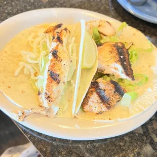 Fish taco,  salmon and Tuna