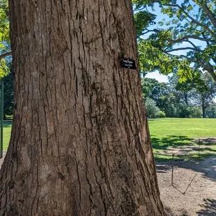 a sign on a tree