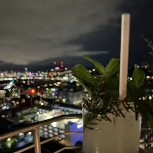 Drink with a view