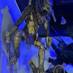 The Wolf Predator waits.