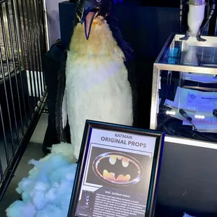 01.14.23 Batman original props