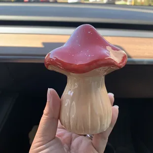 Mushroom $10