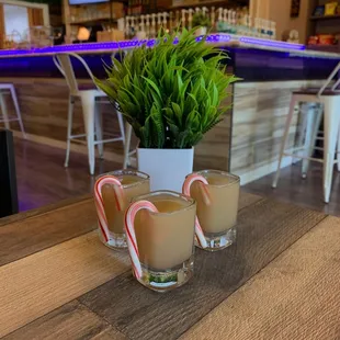 two glasses of coffee and a potted plant