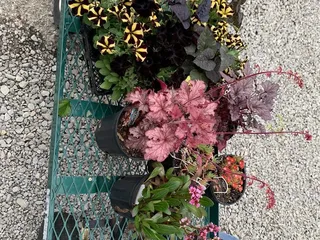 Preston Greenhouse & Garden Center