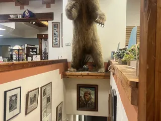 Kissing Camels Coffee