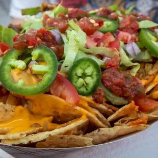 Red Chile Pork Nachos