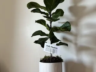 Kimpton Sawyer Hotel