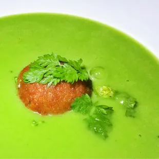 Broccoli Soup