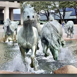 Took this image and posted it, but it's not in the library of photos. It's my image and I want to share...