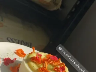 Force Of Nature Brewing