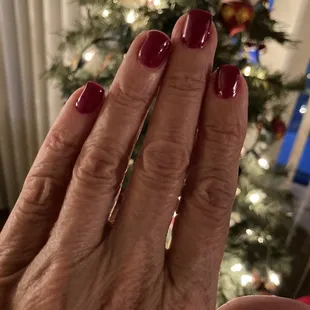 Gel manicure by Leo   Dec 28 2021  Very pleased!