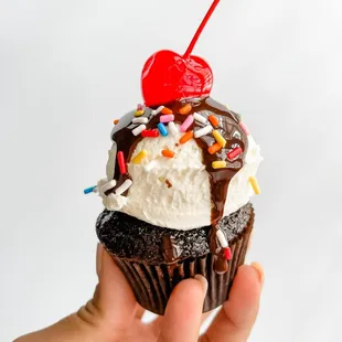 a hand holding a cupcake