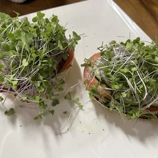Kenwood Vegetarian Sandwich Breakfast