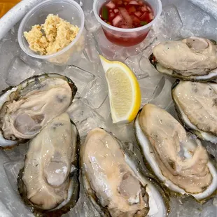 Delicious oysters