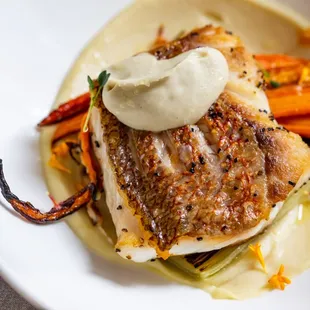 Pan Seared Snapper, parsnip purée, braised leeks, vadouvan roasted baby carrots