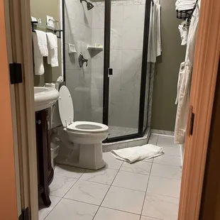 Clean spacious bathroom with a nice shower really enjoyed it !