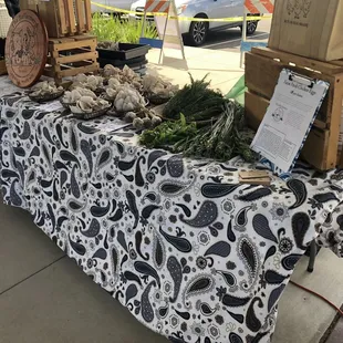 a variety of vegetables