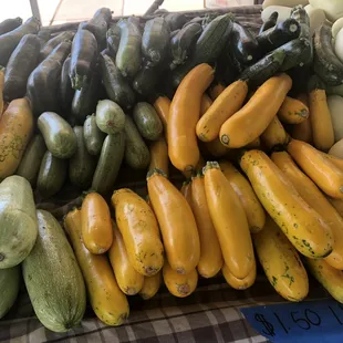 cucumbers and squash