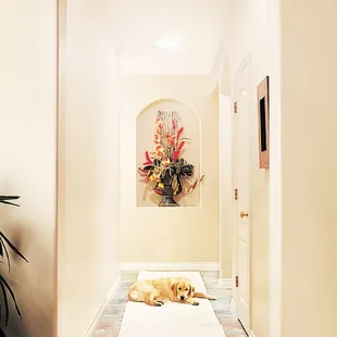 Decorative fixtures are available to match your personal tastes.