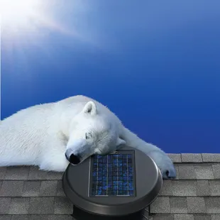 Solar Powered Attic Fan make your attic bearable!