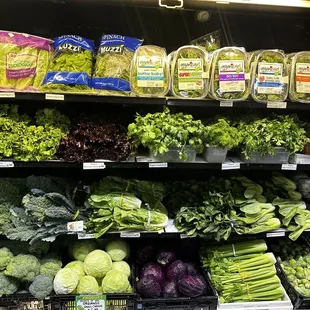 Fresh Organic Greens