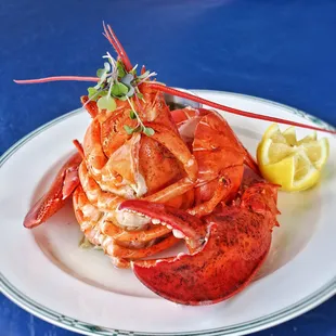 1-1/2 POUND BOILED ~ OR ~ BROILED MAINE LOBSTER
 Served with Drawn Butter and Lemon, Coleslaw, and a Choice of Two Sides