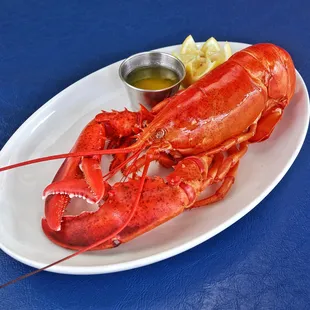 TUESDAY &amp; WEDNESDAY LOBSTAH SPECIAL- 1 lb. Boiled Maine Lobster with Drawn Butter - $25