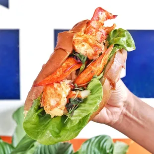 Lobster Roll
