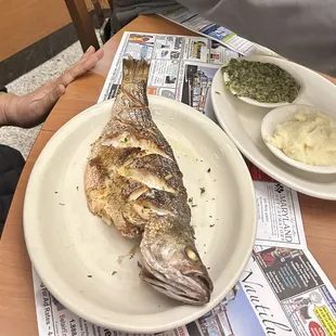Grilled fish