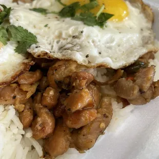 Pad Krapow (Thai Spicy Chicken) close-up