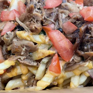 Chicken Adobo Fries (close-up)