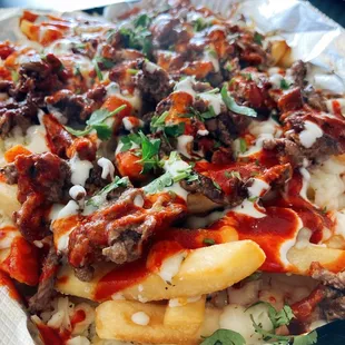 Carne asada fries