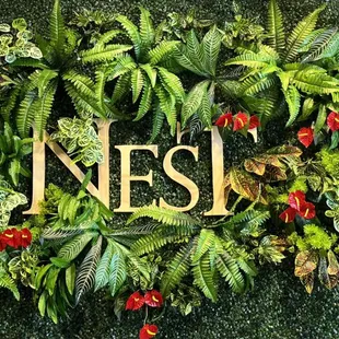 the nest logo surrounded by plants