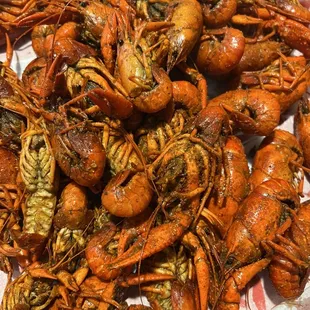 13 Season Crawfish