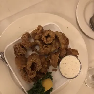 Fried Calamari