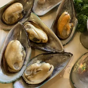 Dry mussels so chewy we couldn't swallow them.