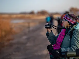 Festival of the Cranes