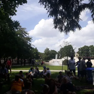 Sitting under the trees