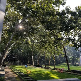 a park with benches and trees