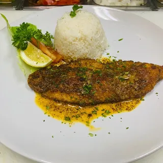 Tilapia