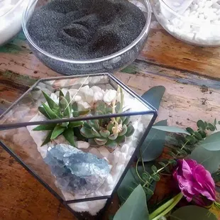 Cactus &amp; Crystals workshop with Bloom Maven.