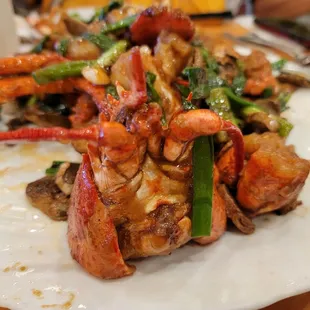 Lobster staring into my soul lol