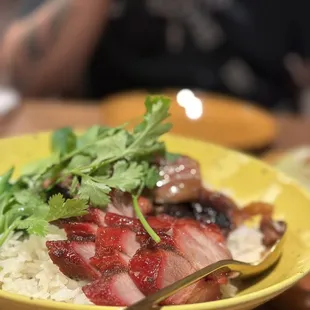 BBQ pork and duck over rice.
