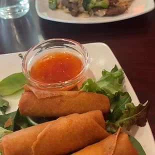 Vegetable Fried Spring Rolls