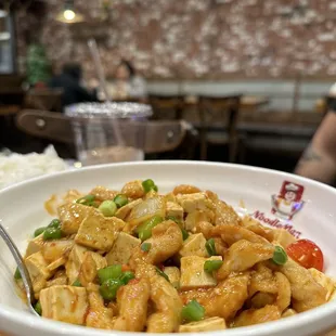 Mapo Tofu Chicken Shreds and Rice