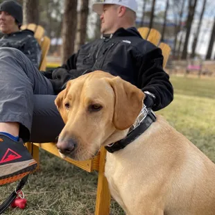 This place is dog friendly