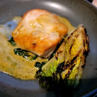 Tilefish