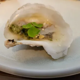 Oysters