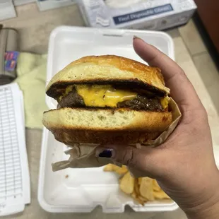 Cheese burger and fries