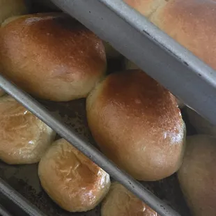 Our fresh hot buns